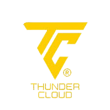Logo Thunder Cloud