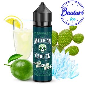Lichid Mexican Cartel 50ml - Limonade Citron Vert Cactus