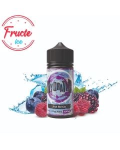 Lichid Hydrater 100ml - Just Berries