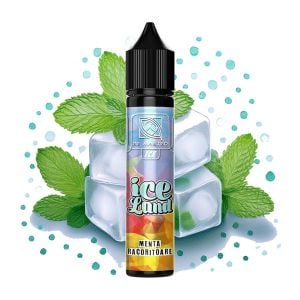 Lichid Longfill Be Master 5ml - Ice Land