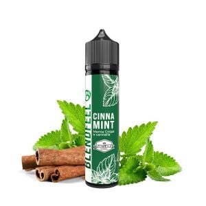 Lichid Longfill Blendfeel 20ml - Cinna Mint
